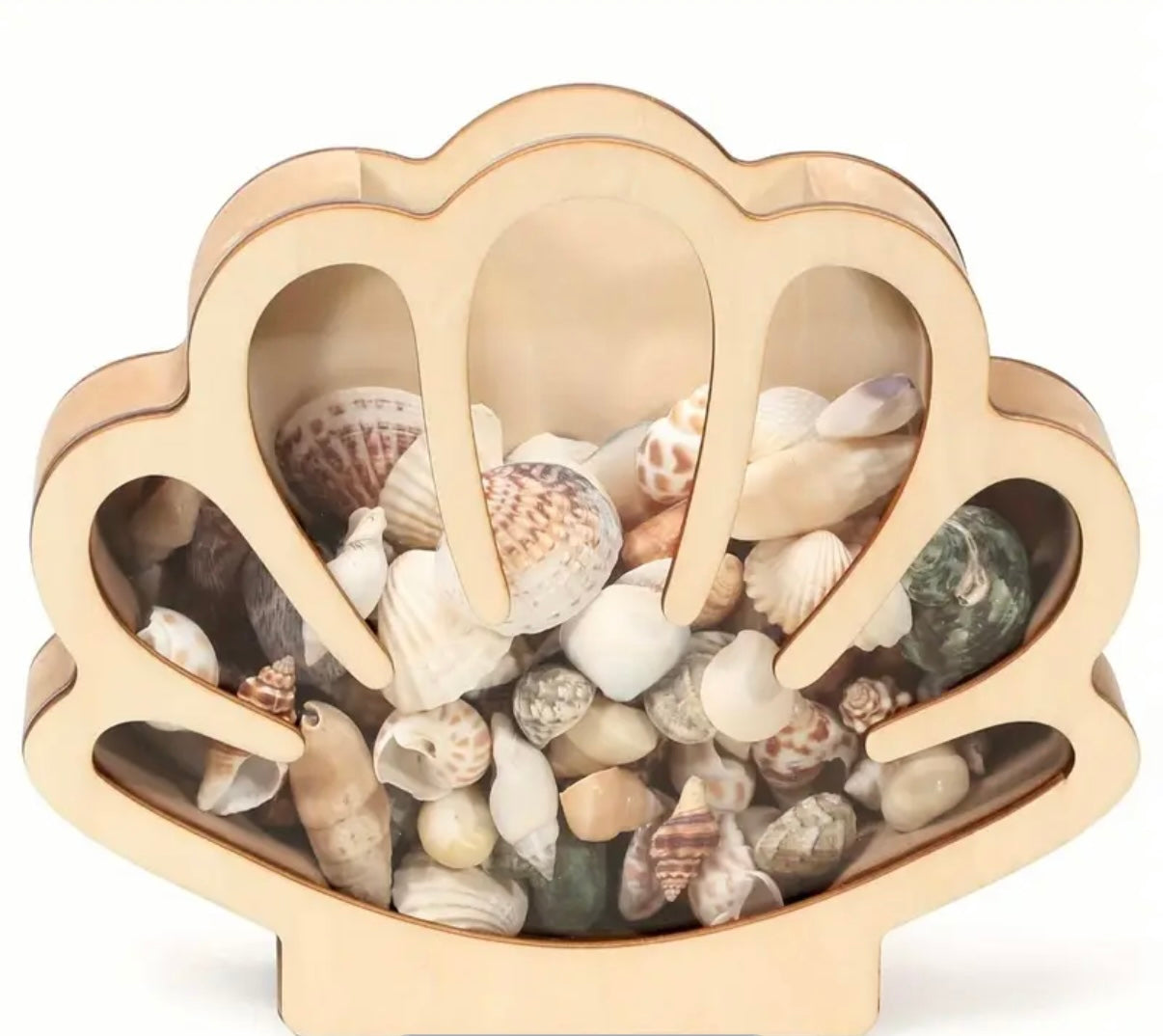 Shell Storage Box