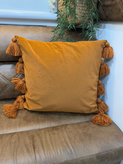 Rusty Tassel Cushion